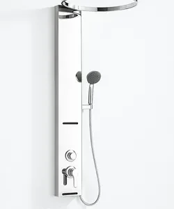 Modern Chrome Shower Panel